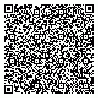 vCard 79995385041