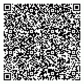 vCard 79995385108