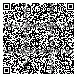 vCard 79995385124