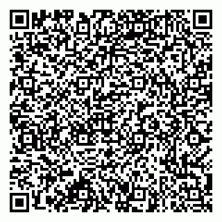vCard 79995385139