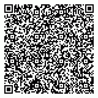 vCard 79995385161