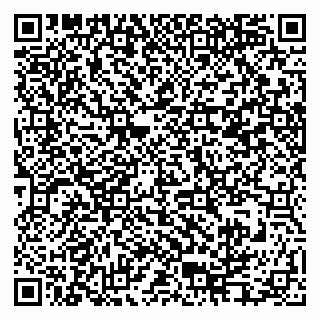 vCard 79995385167