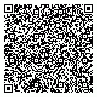 vCard 79995385173