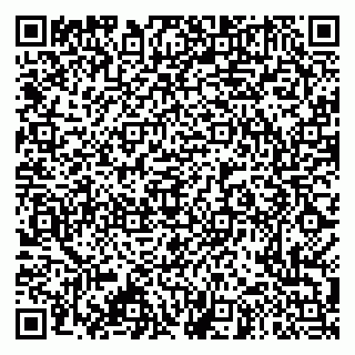 vCard 79995385180