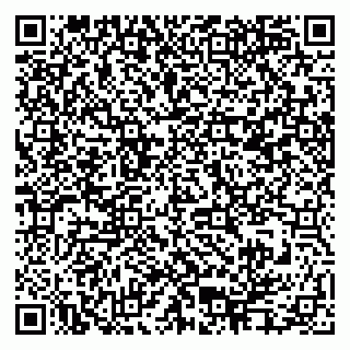 vCard 79995385190