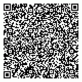 vCard 79995385193