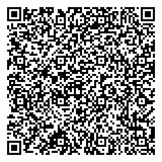 vCard 79995385201