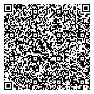 vCard 79995385206