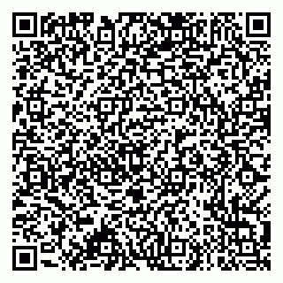 vCard 79995385222