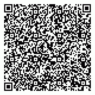 vCard 79995385234