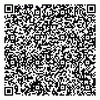 vCard 79995385248