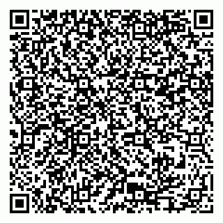 vCard 79995385284