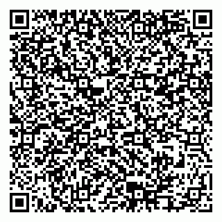 vCard 79995385297