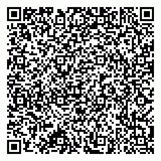 vCard 79995385339