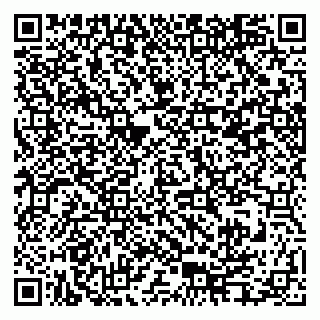 vCard 79995385349