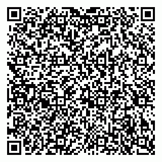 vCard 79995385371