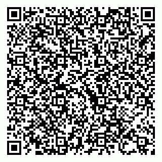 vCard 79995400331