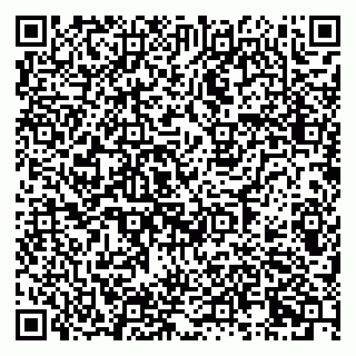 vCard 79995700139
