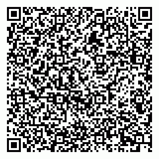 vCard 79995700204