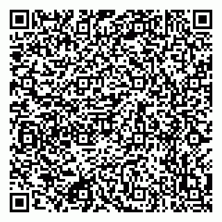 vCard 79995700313