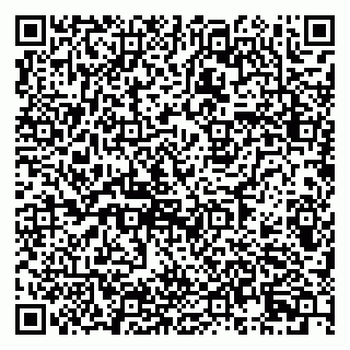 vCard 79995700383