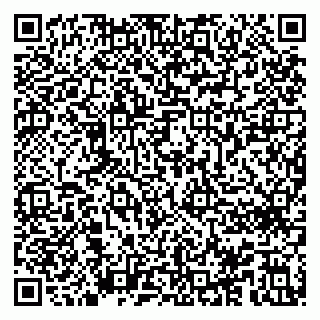 vCard 79996660063