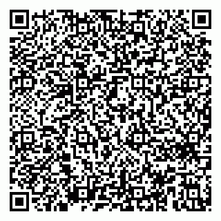 vCard 79996660133
