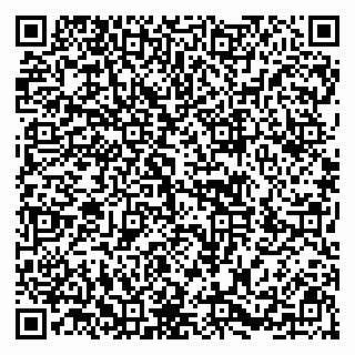 vCard 79996660313