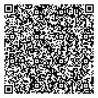 vCard 79996660331