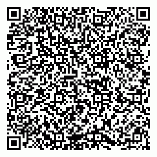 vCard 79996660383
