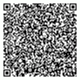 vCard 79996660385