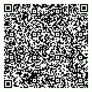 vCard 79996700385