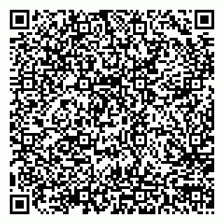 vCard 79997003303
