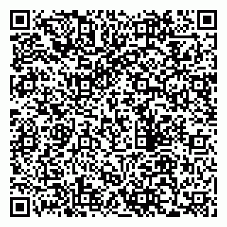 vCard 79997004839