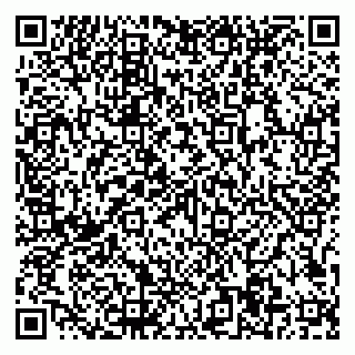 vCard 79997104009