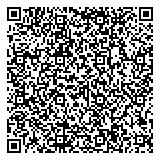 vCard 79997104033