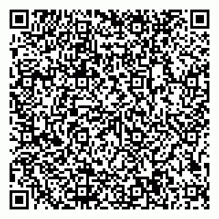 vCard 79997104067