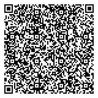 vCard 79997104131