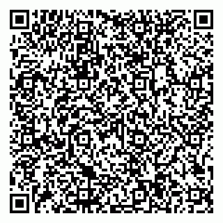 vCard 79997104133
