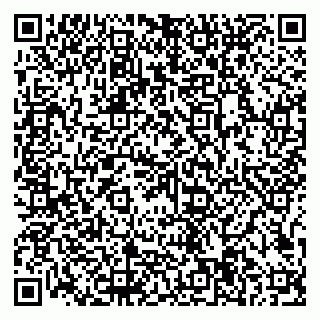 vCard 79997104135