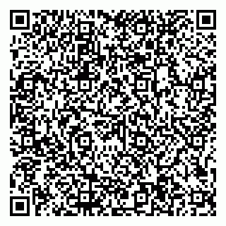 vCard 79997104171