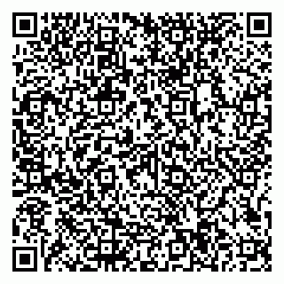 vCard 79997104173