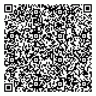 vCard 79997104198