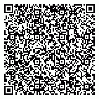vCard 79997104199