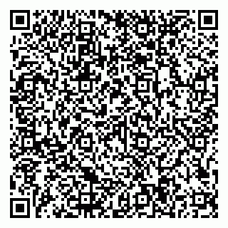 vCard 79997104203
