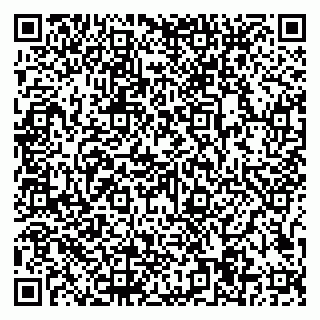 vCard 79997104219