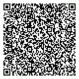 vCard 79997104273