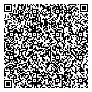 vCard 79997104295