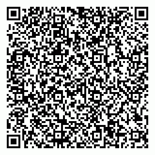 vCard 79997104309