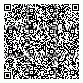 vCard 79997104333